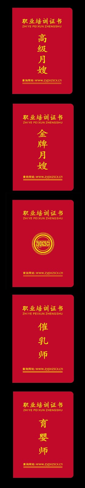 zypxzscx新证书2023.jpg