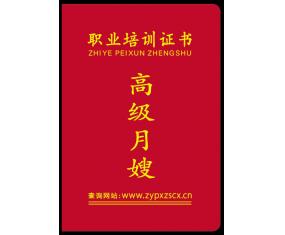 高级月嫂