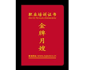 金牌月嫂